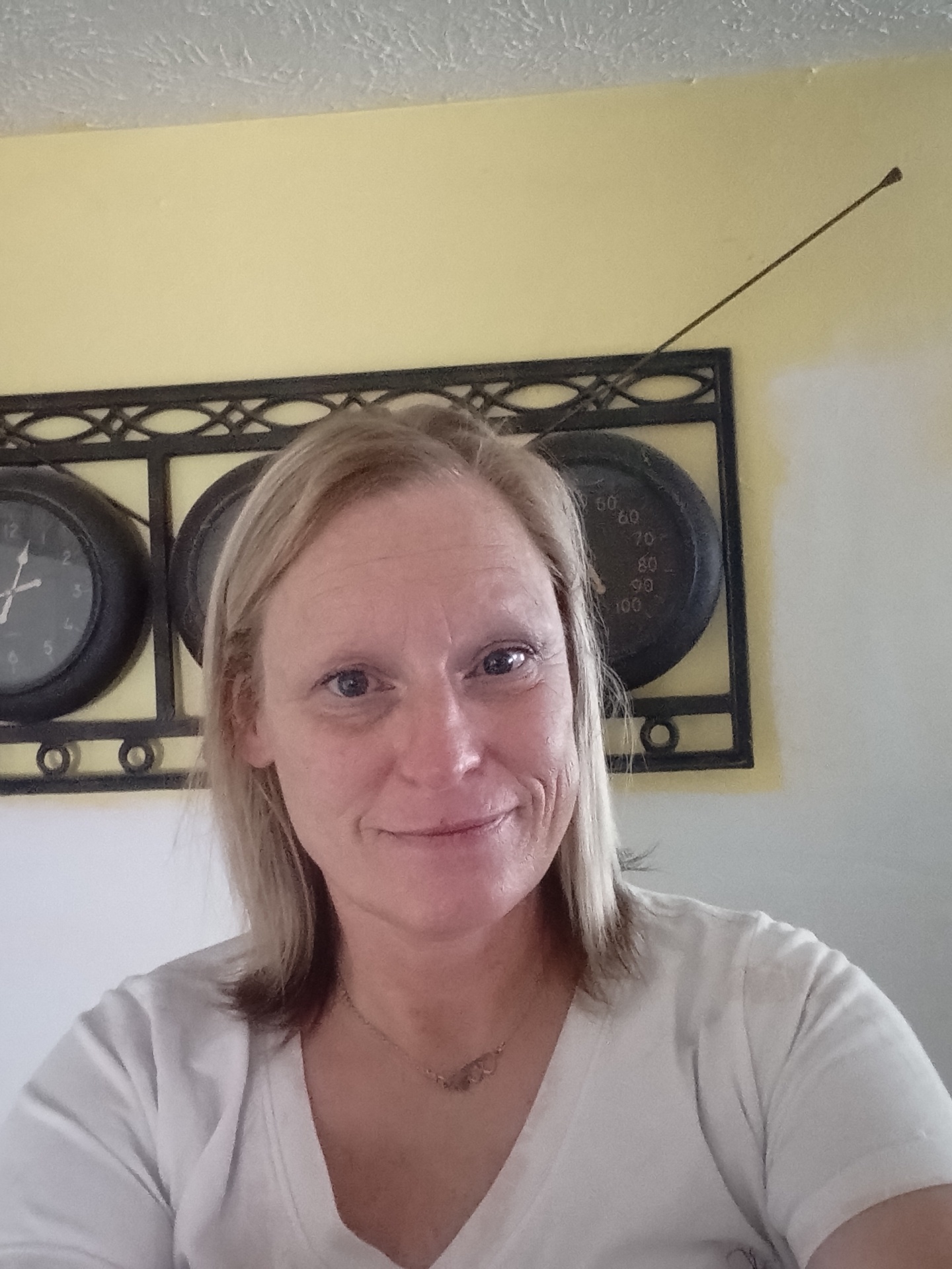 House Cleaning Services in Iowa Homeaglow